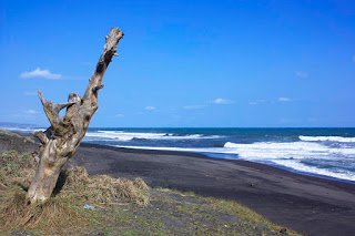 pantai goa cemara